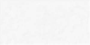 TWU2550DCV00 плитка облицовочная рельефная Discover 249*500 (9 шт в уп/63.897 м в пал)