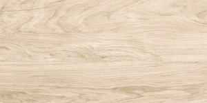 GFA3060BWD04R плитка керамогранитная Брентвуд / Brentwood 300*600 (9 шт в уп/64.8 м в пал)