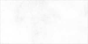 Конор Белый / Konor White WT9KON00 Плитка настенная 249*500 (12 шт в уп/80.676 м в пал)